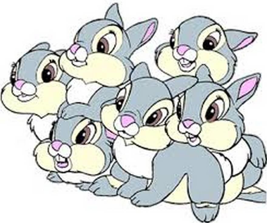 rabbit.jpg
